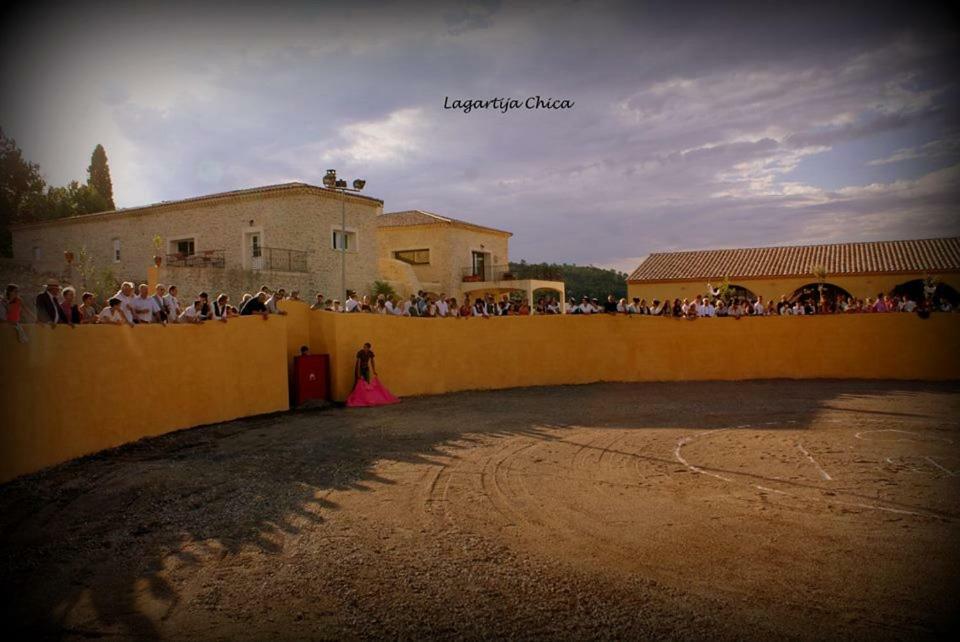 Quissac  Chambres D'Hotes Au Mas Du Sire المظهر الخارجي الصورة